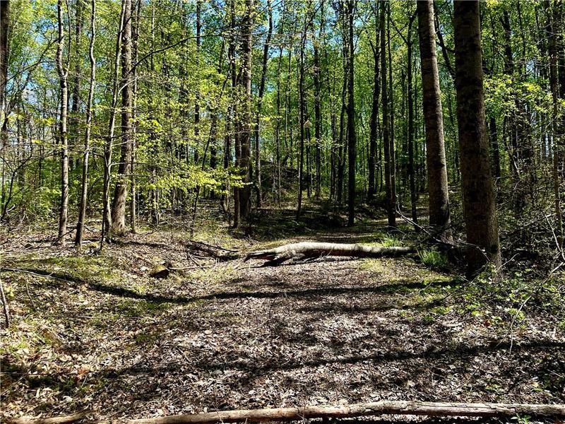 Image for property 4020 Twin Lakes Road, Cumming, GA 30040
