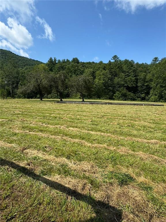 Image for property 10701 MULKY GAP Road, Suches, GA 30572