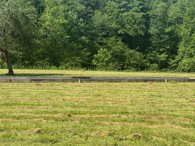 Image for property 10701 MULKY GAP Road, Suches, GA 30572