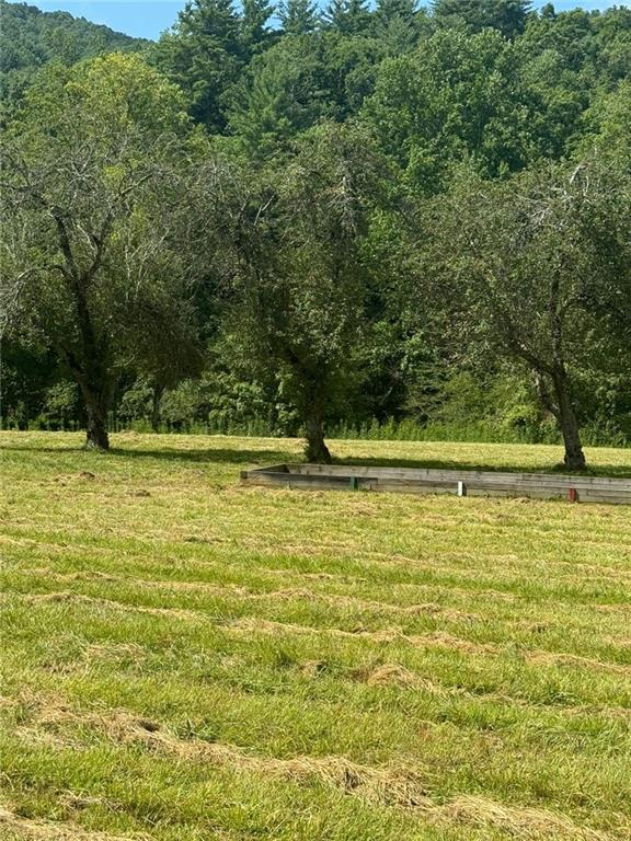 Image for property 10701 MULKY GAP Road, Suches, GA 30572