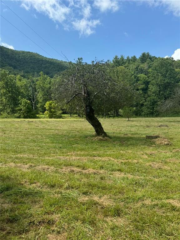 Image for property 10701 MULKY GAP Road, Suches, GA 30572