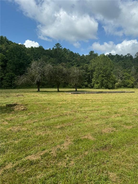 Image for property 10701 MULKY GAP Road, Suches, GA 30572