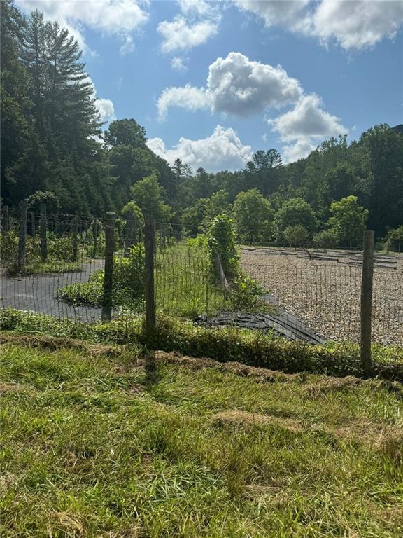 Image for property 10701 MULKY GAP Road, Suches, GA 30572