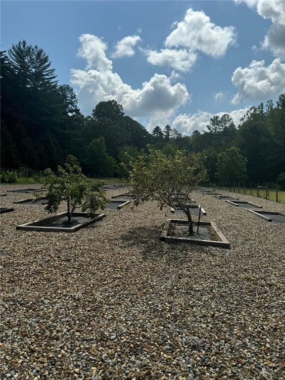 Image for property 10701 MULKY GAP Road, Suches, GA 30572