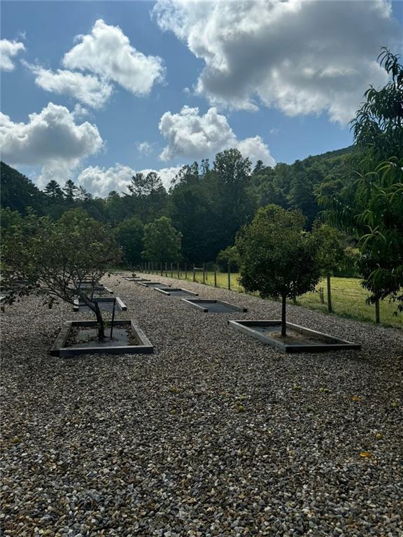 Image for property 10701 MULKY GAP Road, Suches, GA 30572