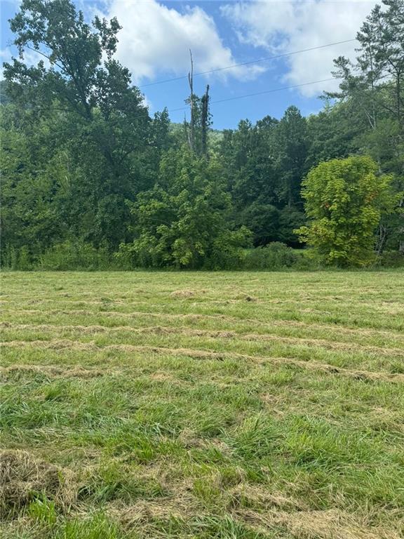 Image for property 10701 MULKY GAP Road, Suches, GA 30572