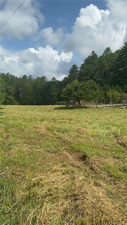 Image for property 10701 MULKY GAP Road, Suches, GA 30572