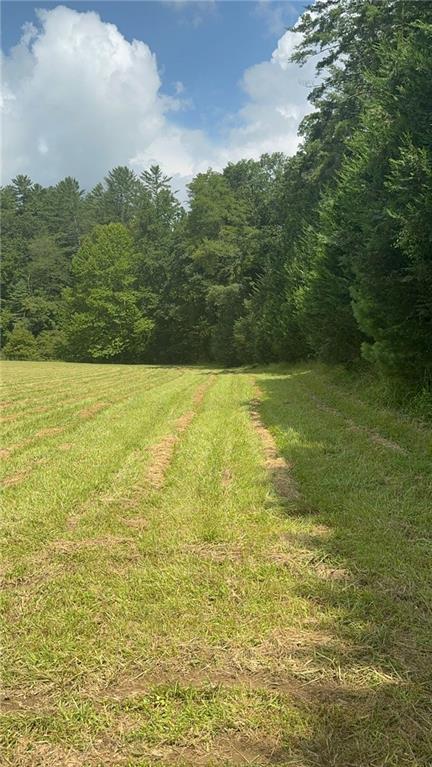 Image for property 10701 MULKY GAP Road, Suches, GA 30572