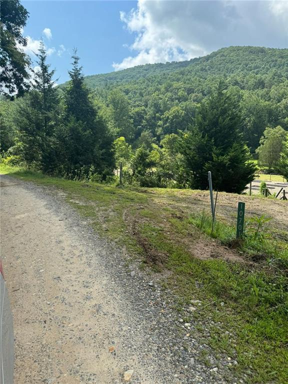 Image for property 10701 MULKY GAP Road, Suches, GA 30572