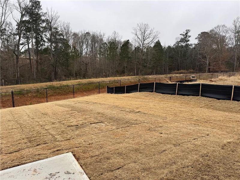 Image for property 1641 Fuma Leaf Way, Mcdonough, GA 30253
