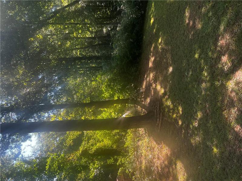 Image for property 4356 Housworth Drive, Stonecrest, GA 30038