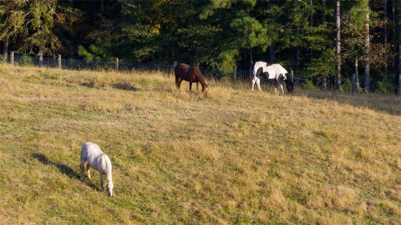 Image for property 1990 Elder Mill Road, Watkinsville, GA 30677