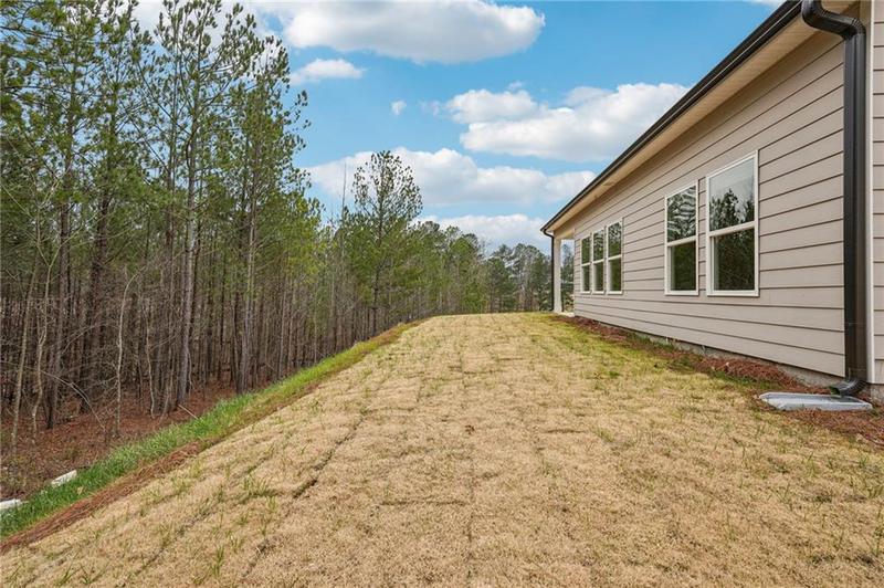 Image for property 333 Ivey Township Drive, Dallas, GA 30132