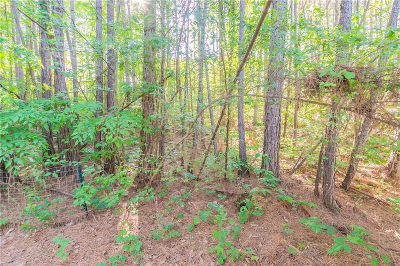 Image for property 3856 Vine Stone Drive, Lithonia, GA 30038