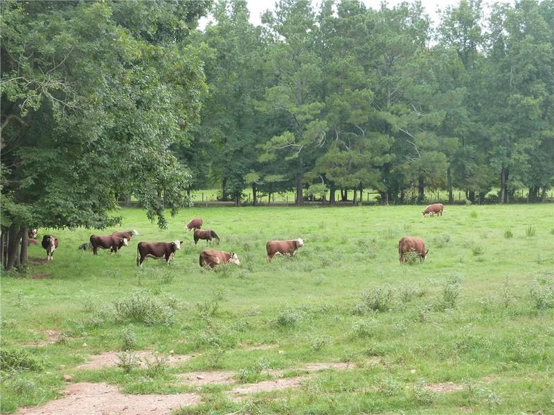 Image for property 1650 Locklin Cemetery Road, Monroe, GA 30656