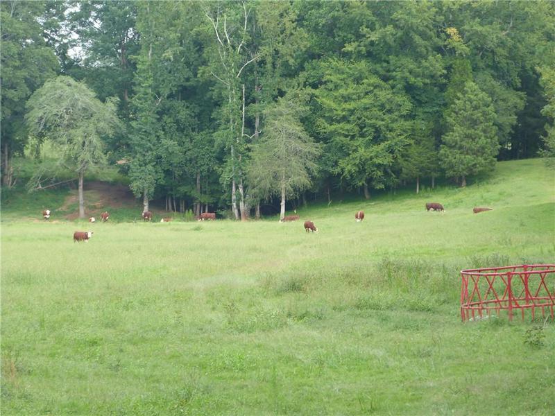 Image for property 1650 Locklin Cemetery Road, Monroe, GA 30656