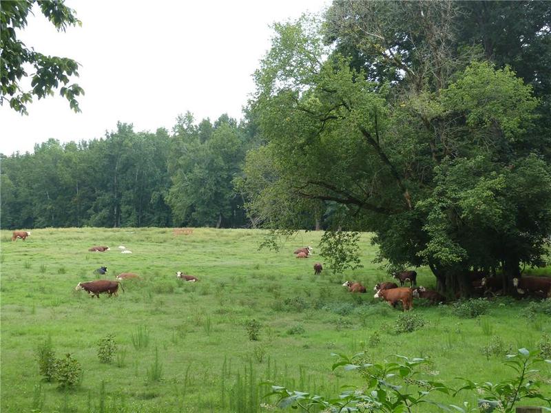 Image for property 1650 Locklin Cemetery Road, Monroe, GA 30656