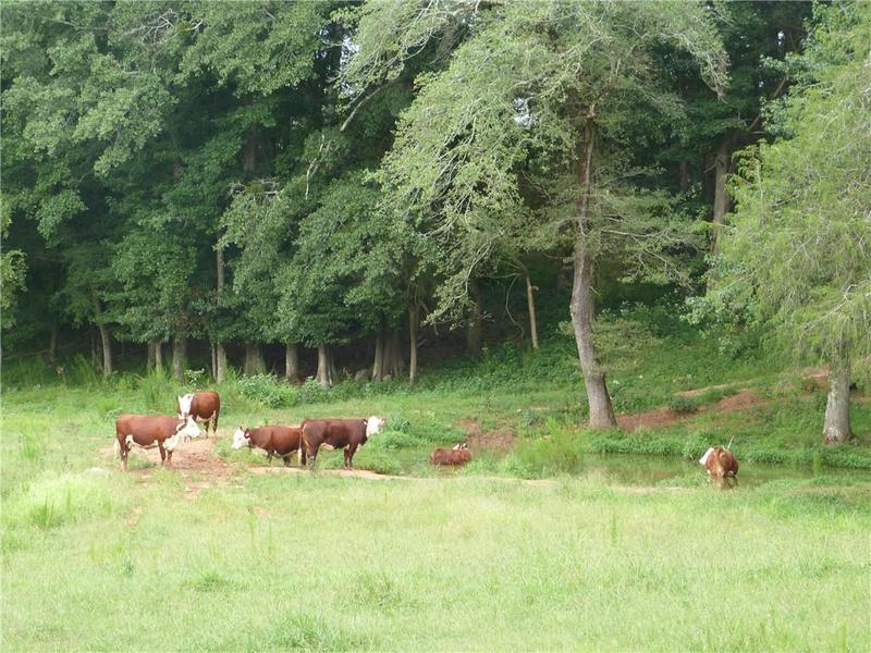 Image for property 1650 Locklin Cemetery Road, Monroe, GA 30656