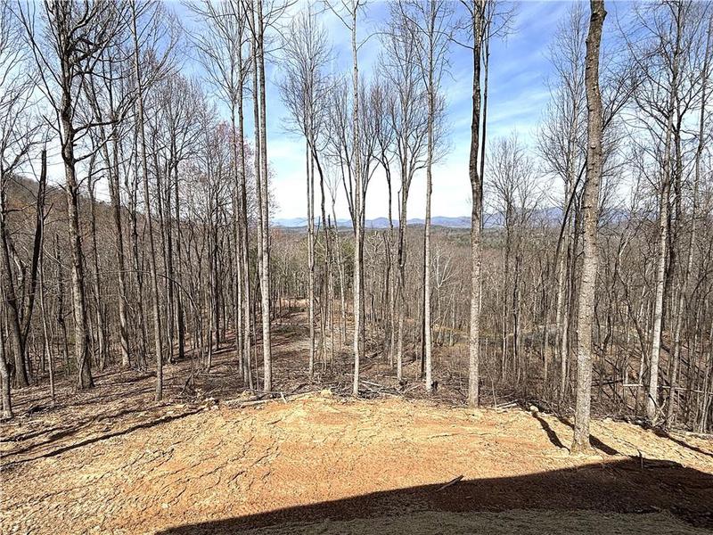 Image for property 785 Bears Paw Drive, Ellijay, GA 30536