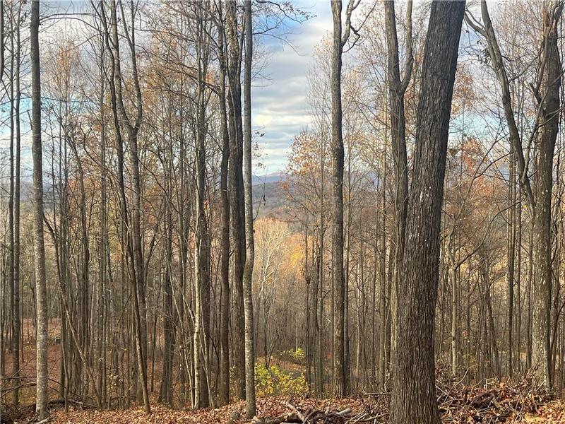 Image for property 785 Bears Paw Drive, Ellijay, GA 30536
