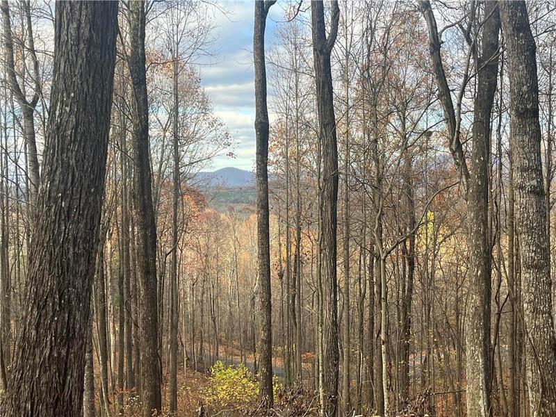 Image for property 785 Bears Paw Drive, Ellijay, GA 30536