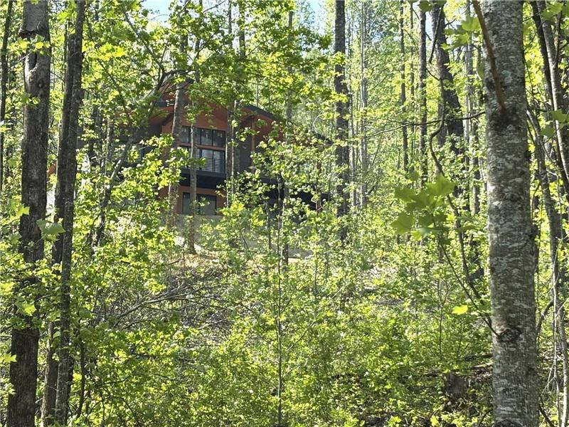 Image for property 785 Bears Paw Drive, Ellijay, GA 30536
