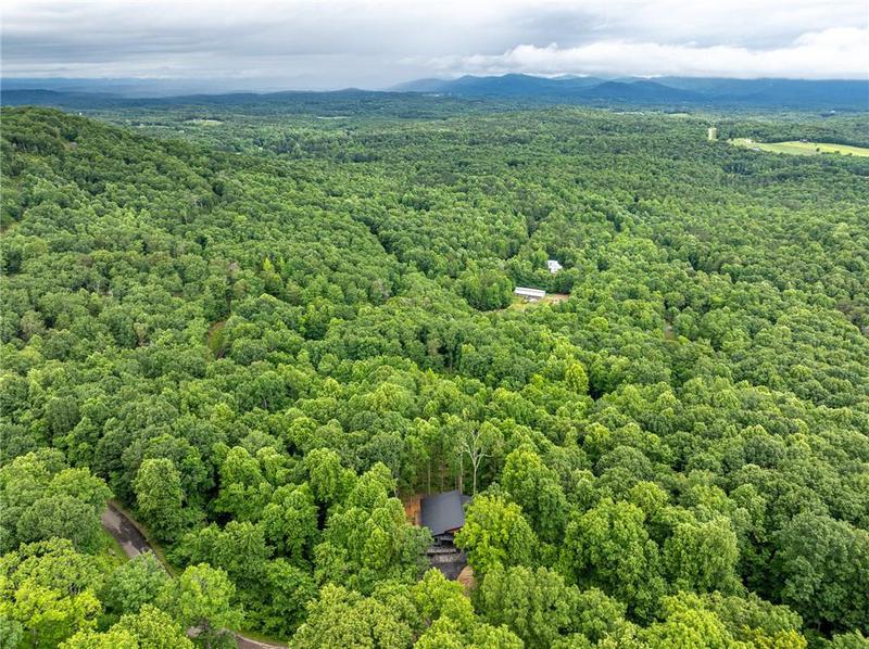 Image for property 785 Bears Paw Drive, Ellijay, GA 30536