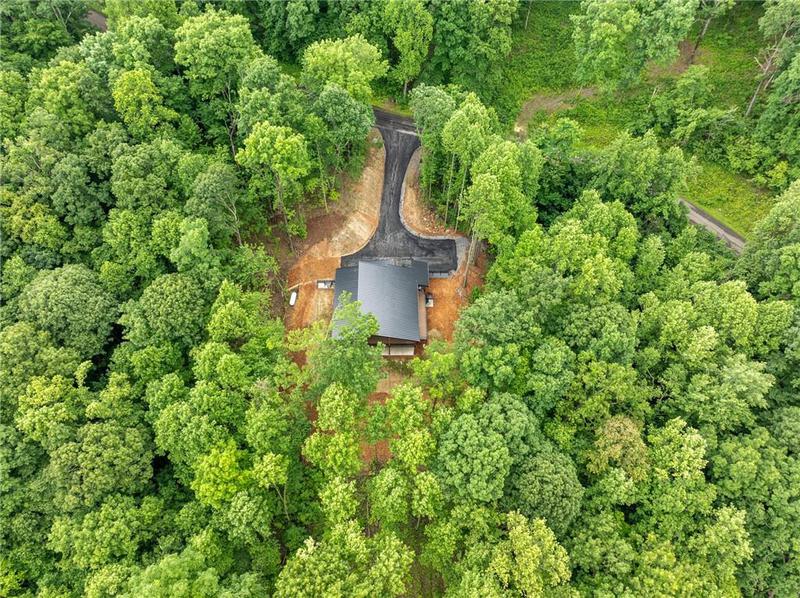 Image for property 785 Bears Paw Drive, Ellijay, GA 30536
