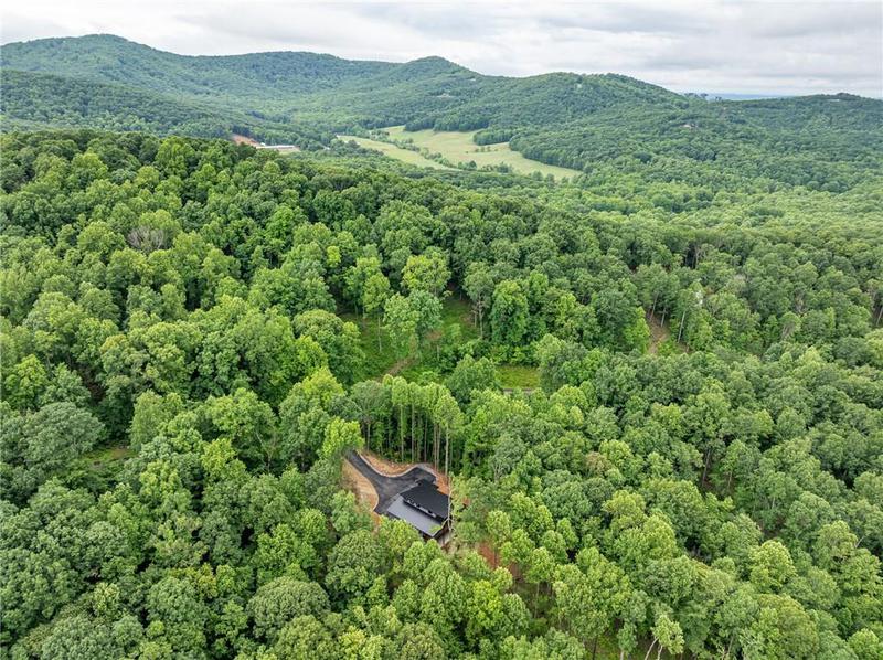 Image for property 785 Bears Paw Drive, Ellijay, GA 30536