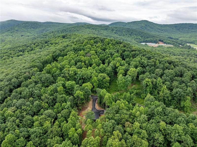 Image for property 785 Bears Paw Drive, Ellijay, GA 30536