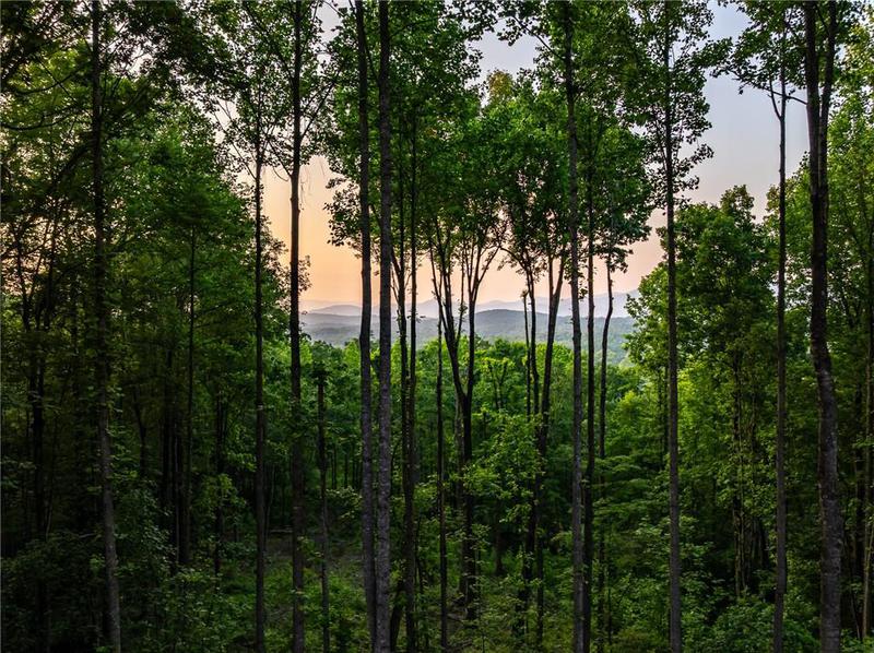 Image for property 785 Bears Paw Drive, Ellijay, GA 30536