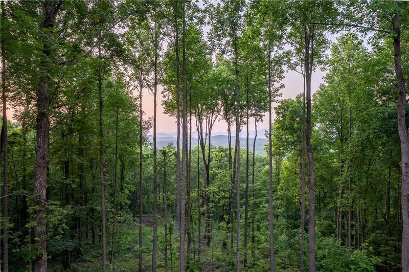 Image for property 785 Bears Paw Drive, Ellijay, GA 30536