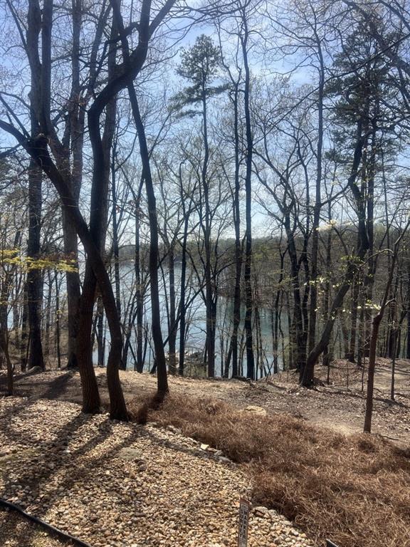 Image for property 7830 Kings Point Drive, Cumming, GA 30041