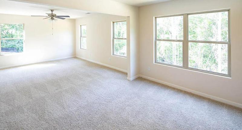 Image for property 820 Tallowtree Lane, Mcdonough, GA 30252