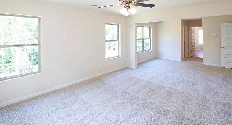 Image for property 820 Tallowtree Lane, Mcdonough, GA 30252