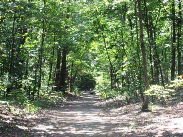 Image for property 3542 CHATTAHOOCHEE SUMMIT Lane, Atlanta, GA 30339
