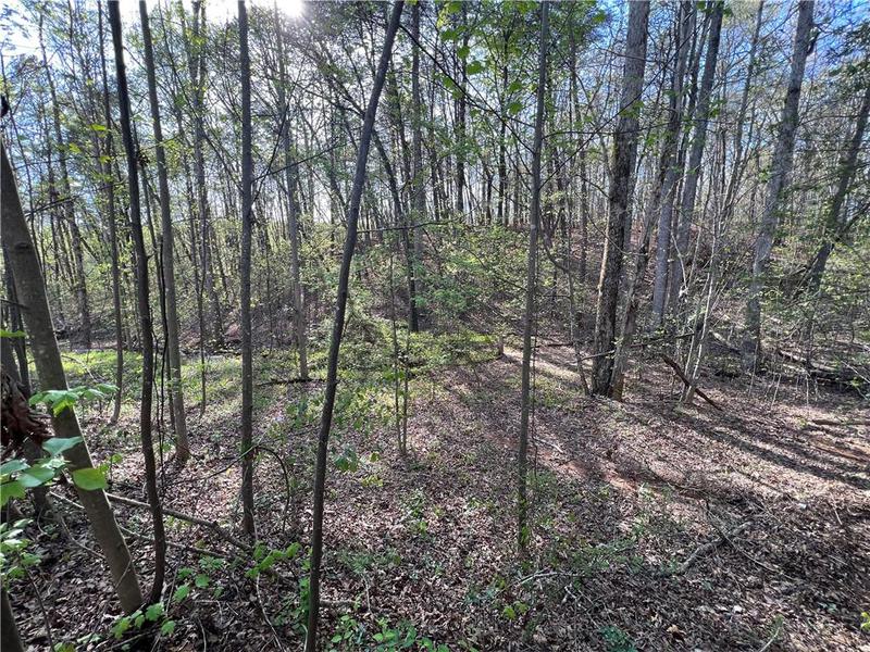 Image for property 135 April Trace, Dawsonville, GA 30534