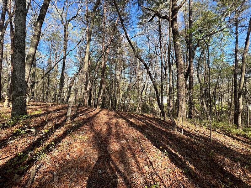 Image for property 135 April Trace, Dawsonville, GA 30534