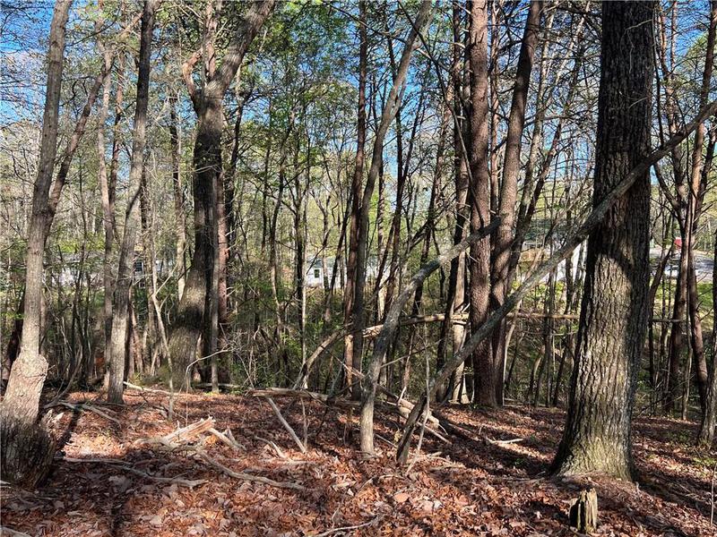 Image for property 135 April Trace, Dawsonville, GA 30534