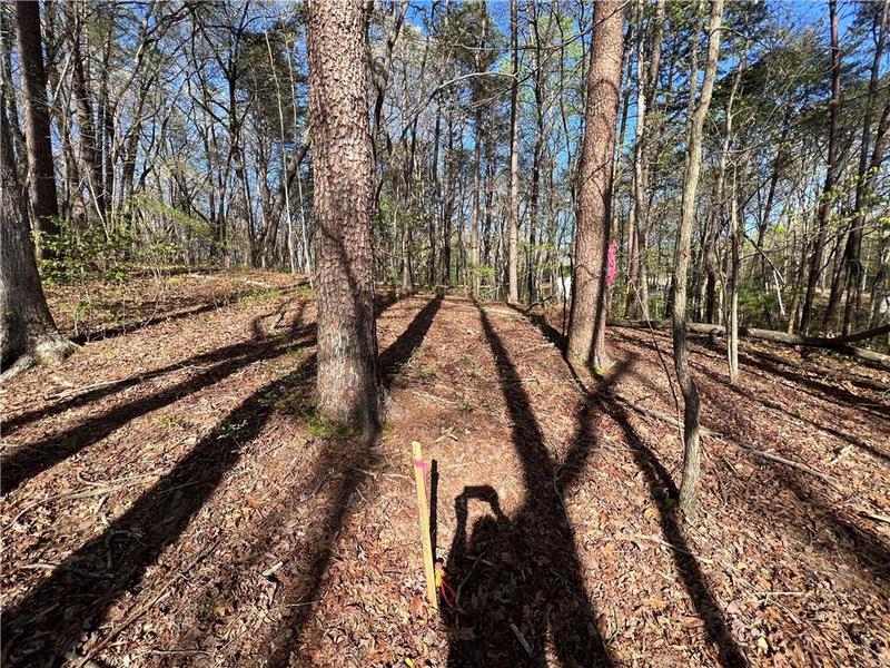 Image for property 135 April Trace, Dawsonville, GA 30534