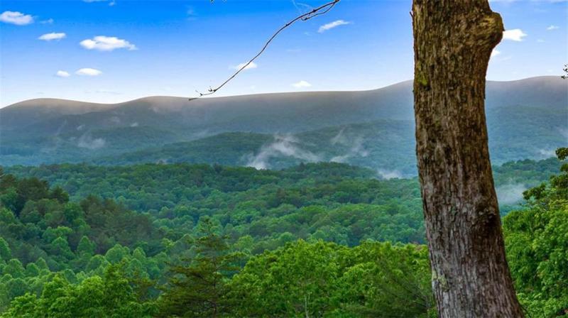 Image for property 566 Cohutta Mountain Road, Blue Ridge, GA 30513
