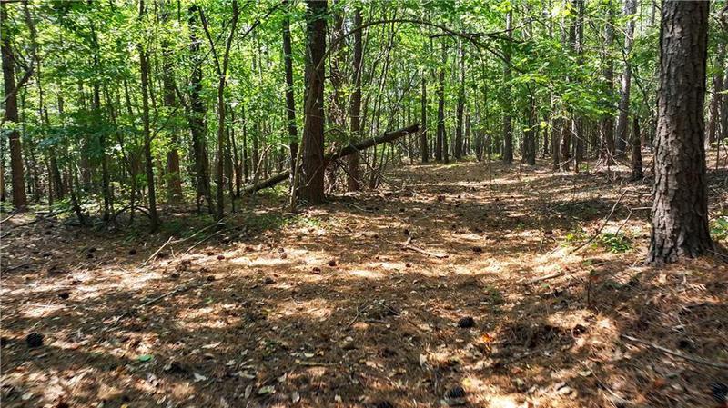 Image for property 3525 Hamilton Mill Road, Buford, GA 30519