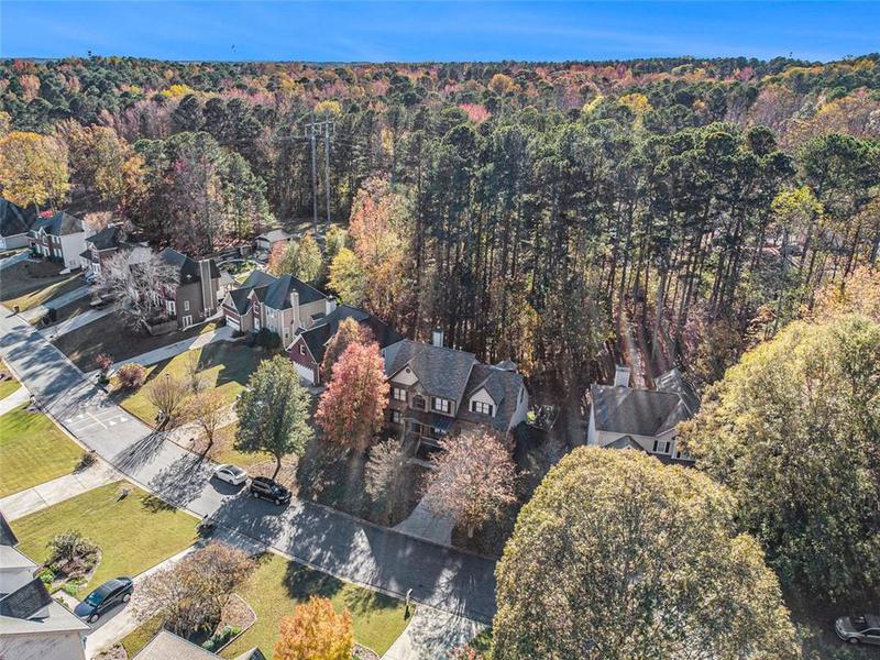 Image for property 1054 SUNNY FIELD Lane, Lawrenceville, GA 30043
