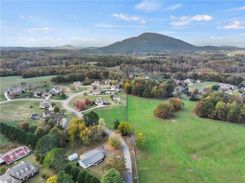Image for property 239 Brown Drive, Clermont, GA 30527