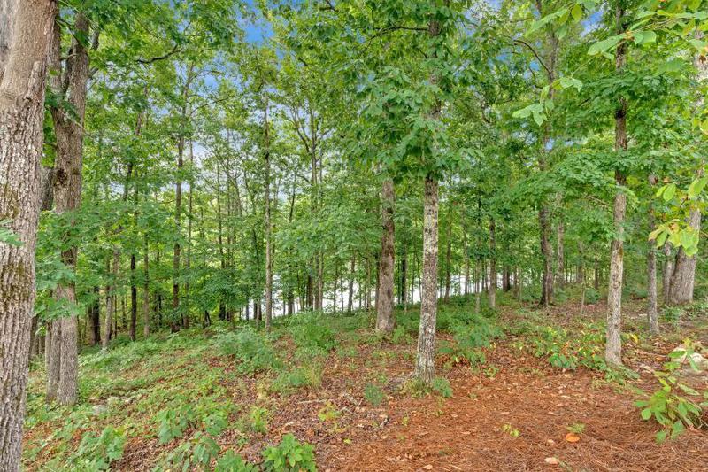 Image for property 205 Lakeside Place, Canton, GA 30114