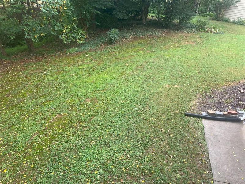 Image for property 221 Larkshyre Trail, Lawrenceville, GA 30043