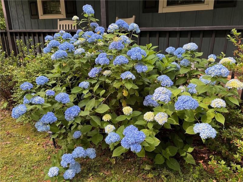 Image for property 333 Broken Arrow Trail, Dahlonega, GA 30533