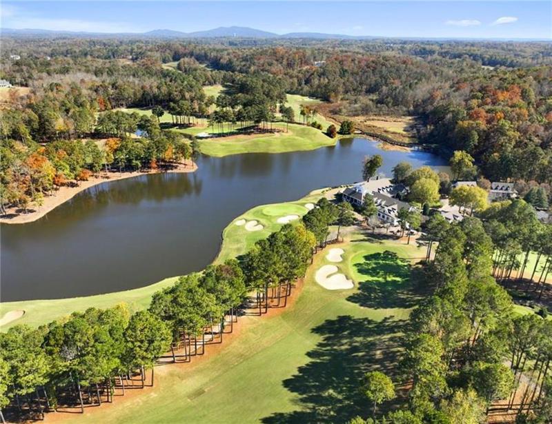 Image for property 113 Hawks Court, Ball Ground, GA 30107