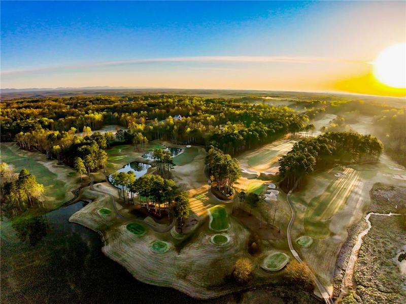 Image for property 113 Hawks Court, Ball Ground, GA 30107