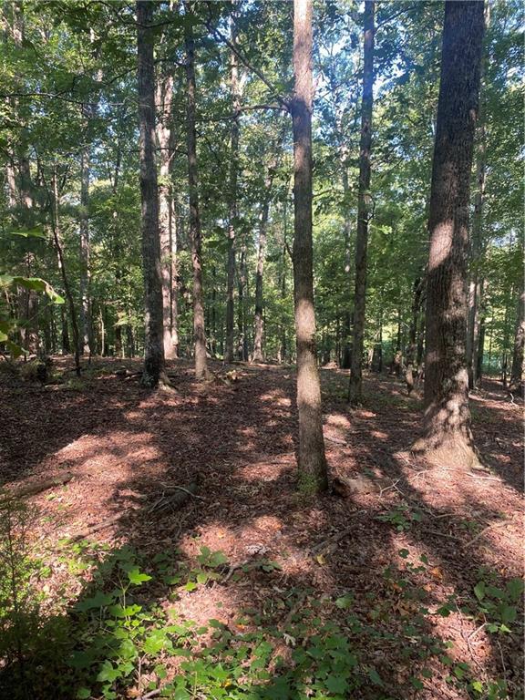 Image for property 0 Highway 140, Rydal, GA 30171